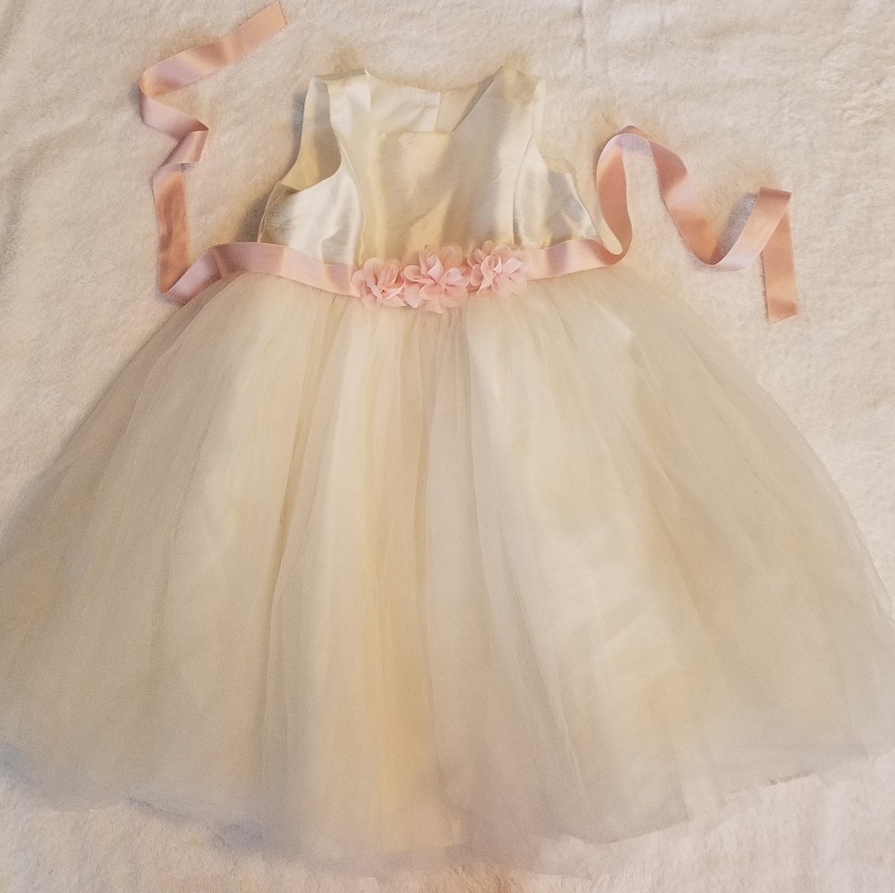 David's Bridal sz 3 and 4t flower girl dresses.